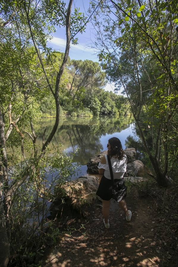 En imágenes, un paseo por Santa María de Trassierra