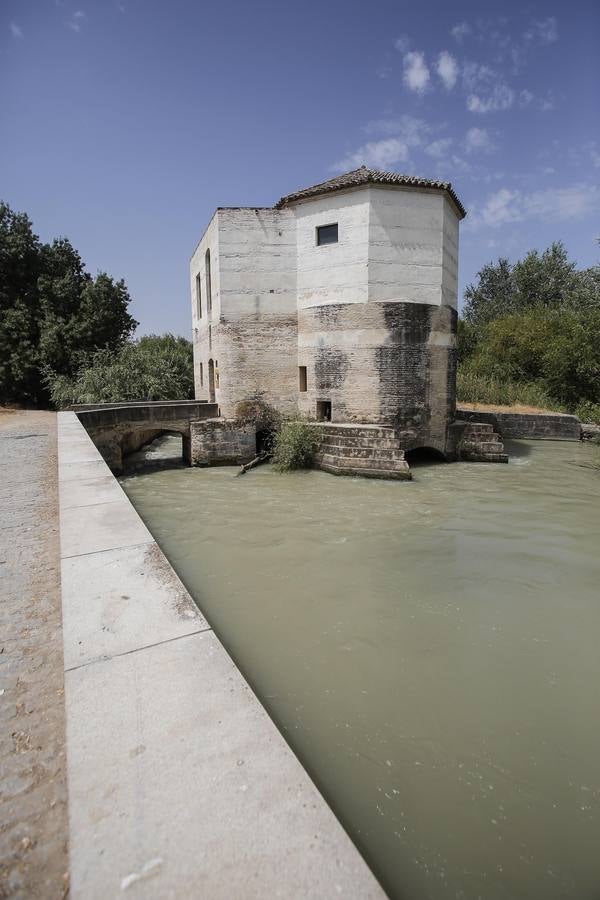 Paseo por el Molino de San Antonio y Martos, en imágenes