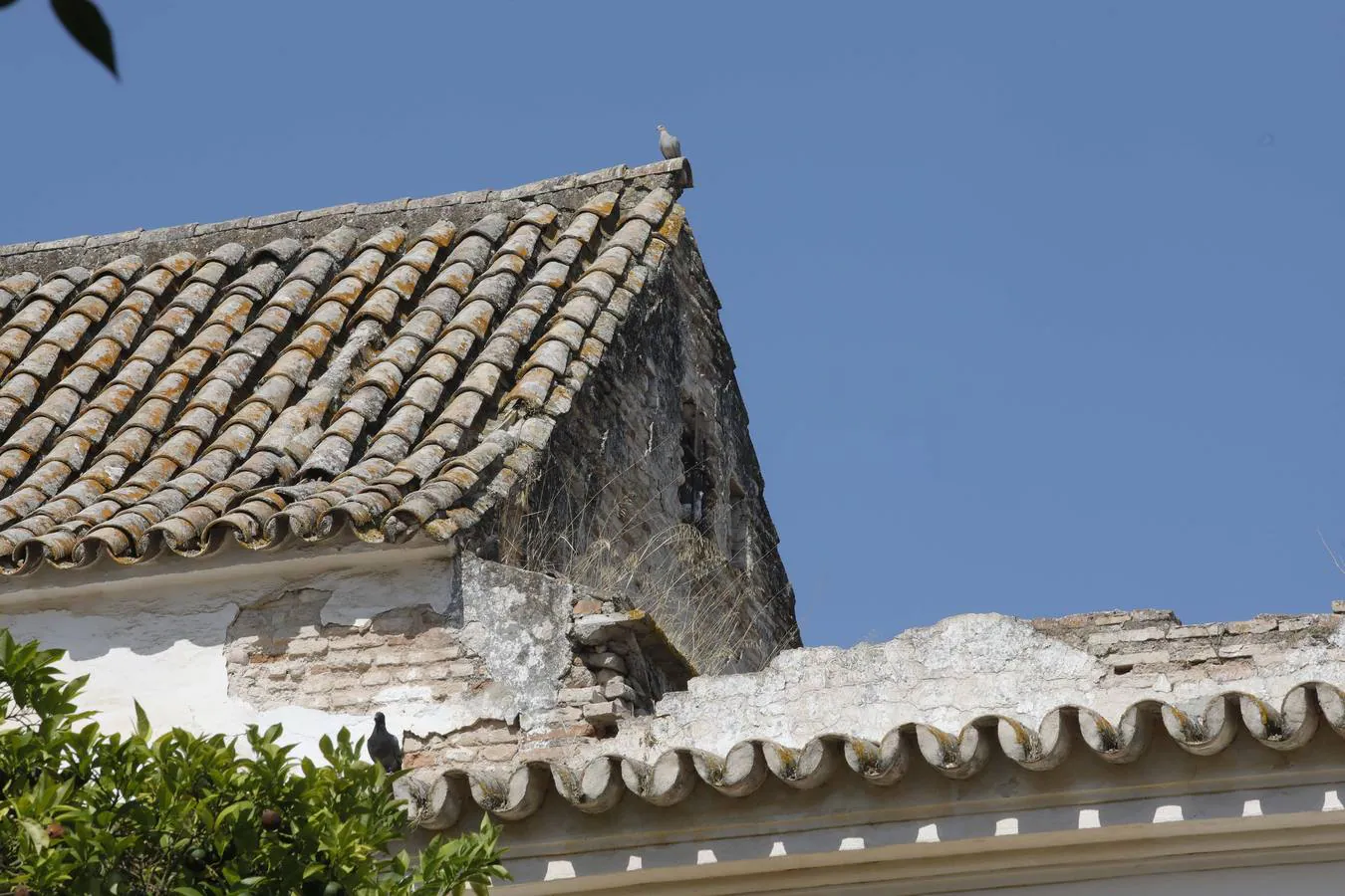 En imágenes, los desperfectos del convento de Santa Clara y la Torre de Don Fadrique