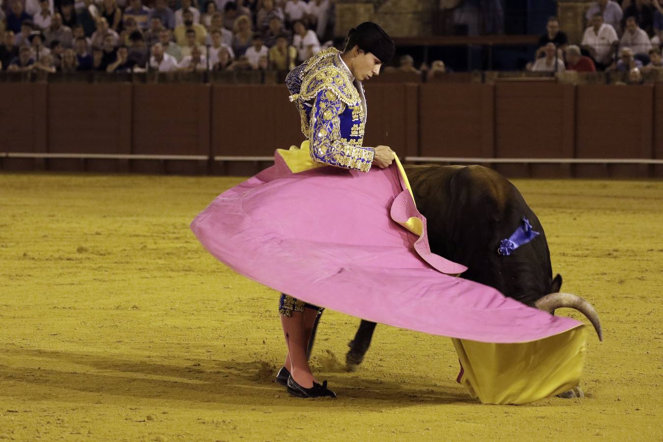 En imágenes, novillada de promoción en la Maestranza de Sevilla