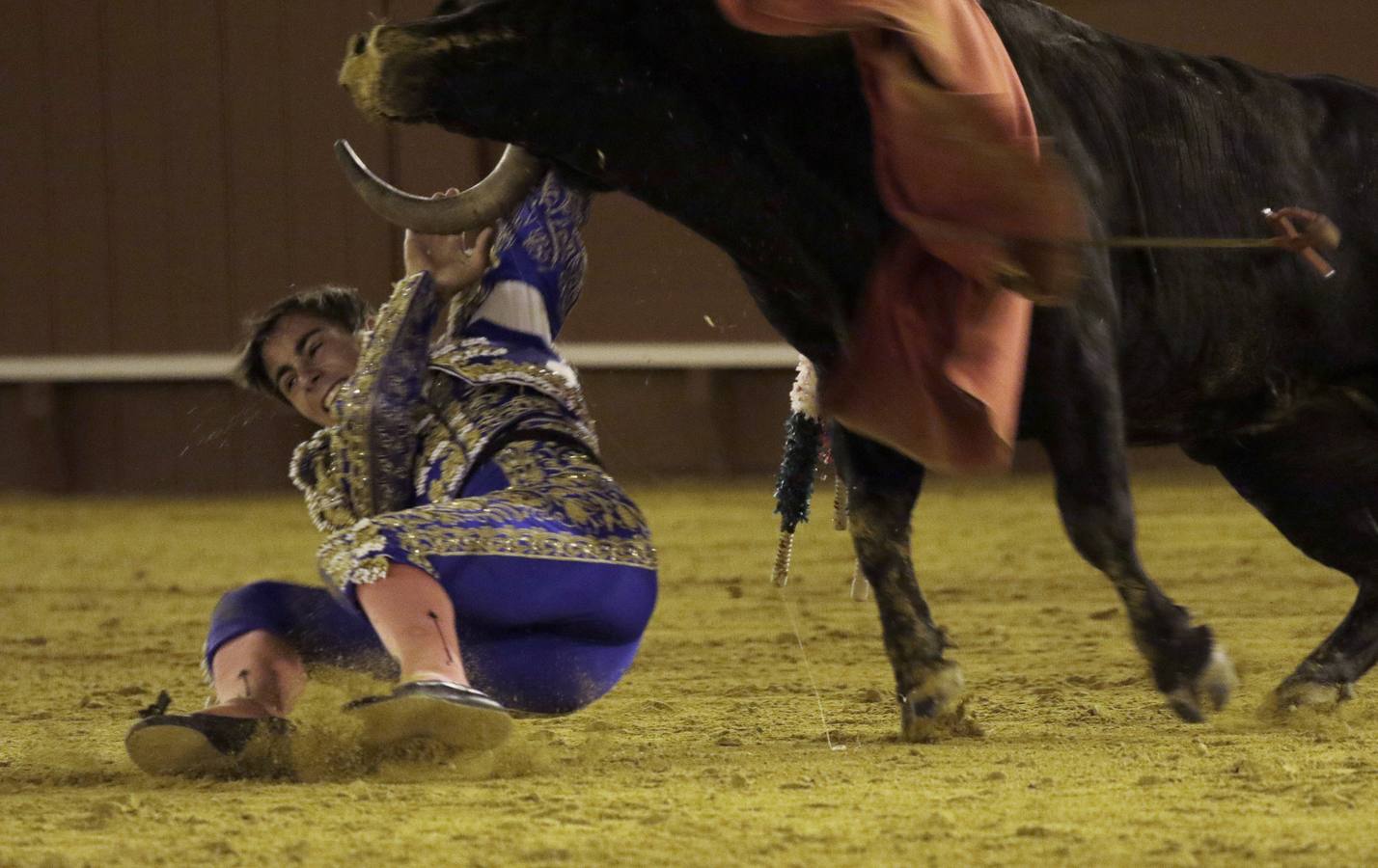 En imágenes, novillada de promoción en la Maestranza de Sevilla