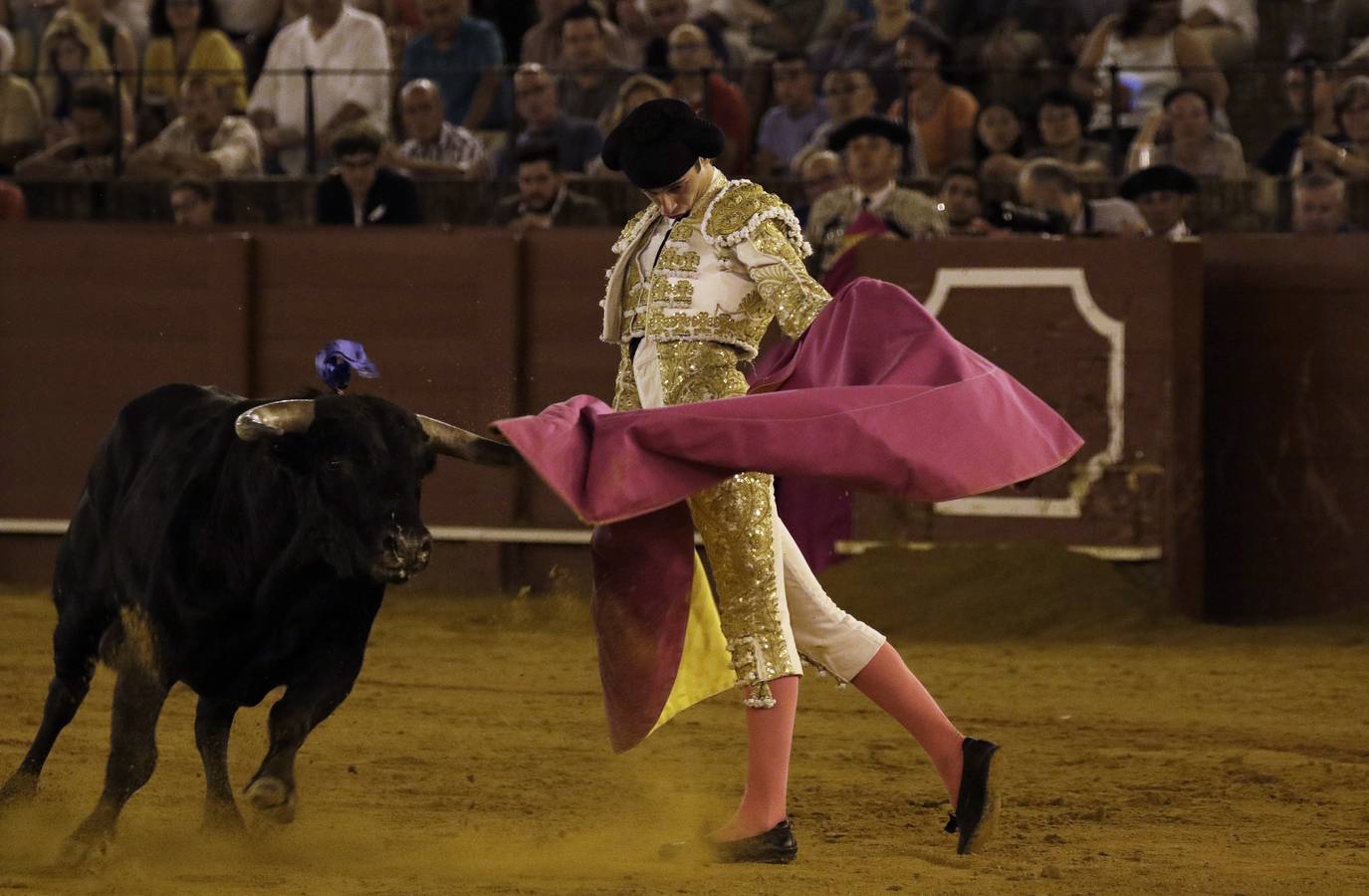 En imágenes, novillada de promoción en la Maestranza de Sevilla