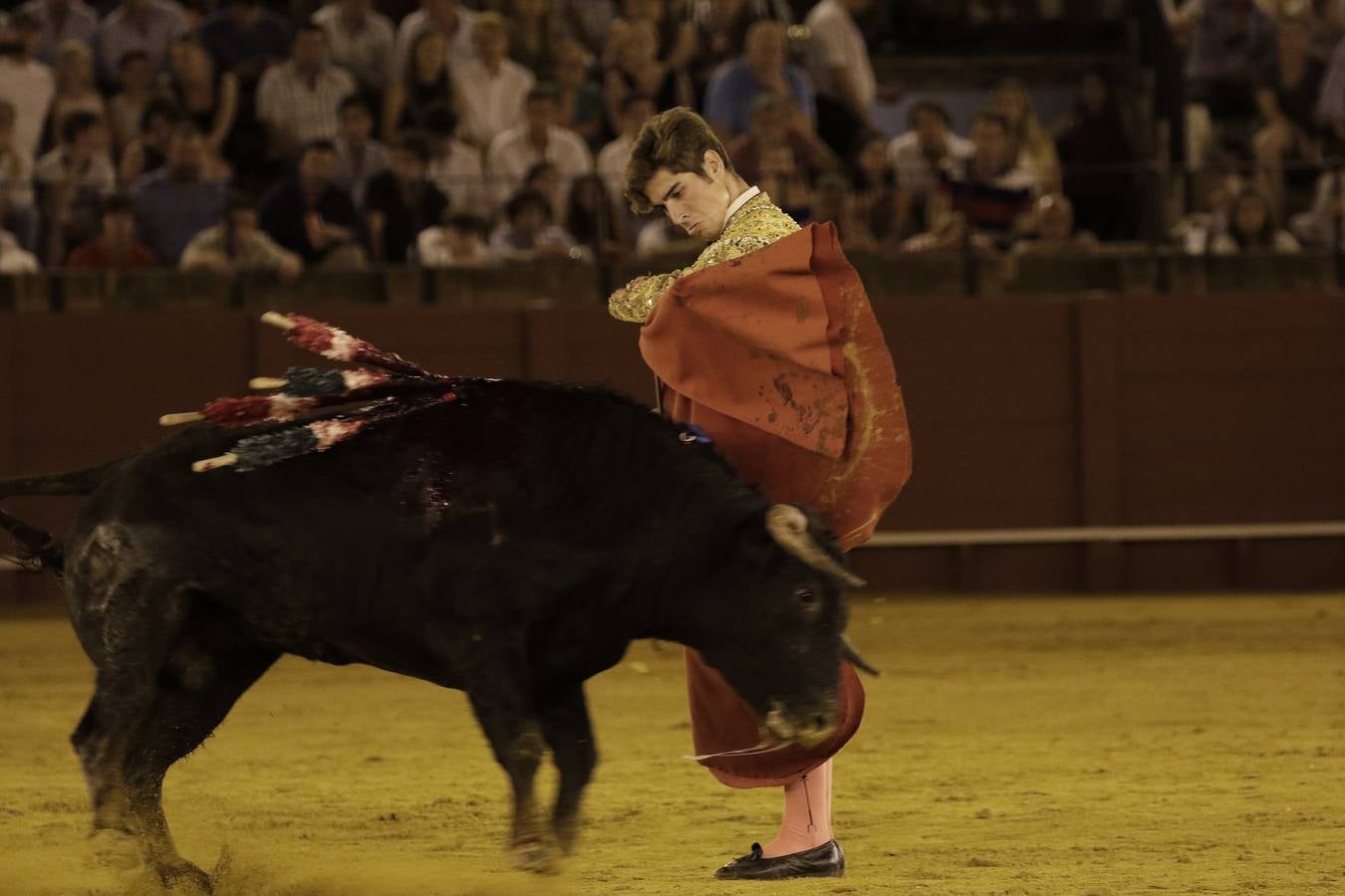 En imágenes, novillada de promoción en la Maestranza de Sevilla