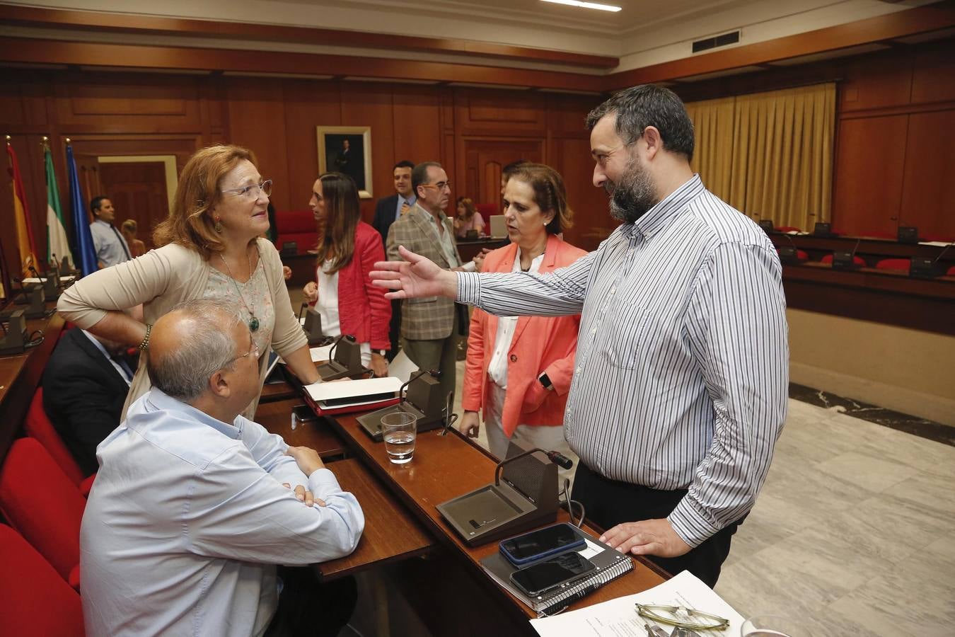 El Pleno del Ayuntamiento de Córdoba, en imágenes