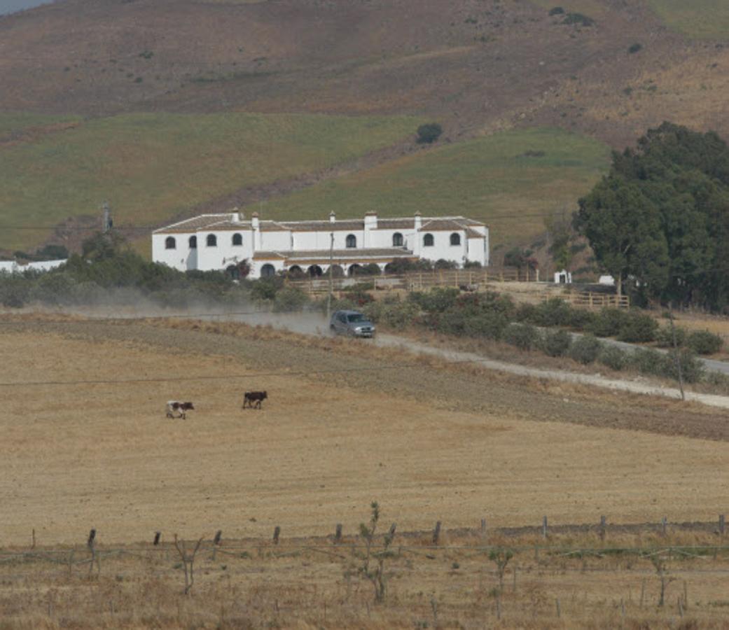 Cantora. La finca Cantora es el lugar escogido por la tonadillera para la celebración de su cumpleaños. Allí, los invitados están disfrutando de un día de  piscina, barbacoa y música en directo. La fiesta durará dos días, pues este jueves lo celebrará junto a sus familiares y personas más allegadas y el día 2 difrutará junto a sus amigos