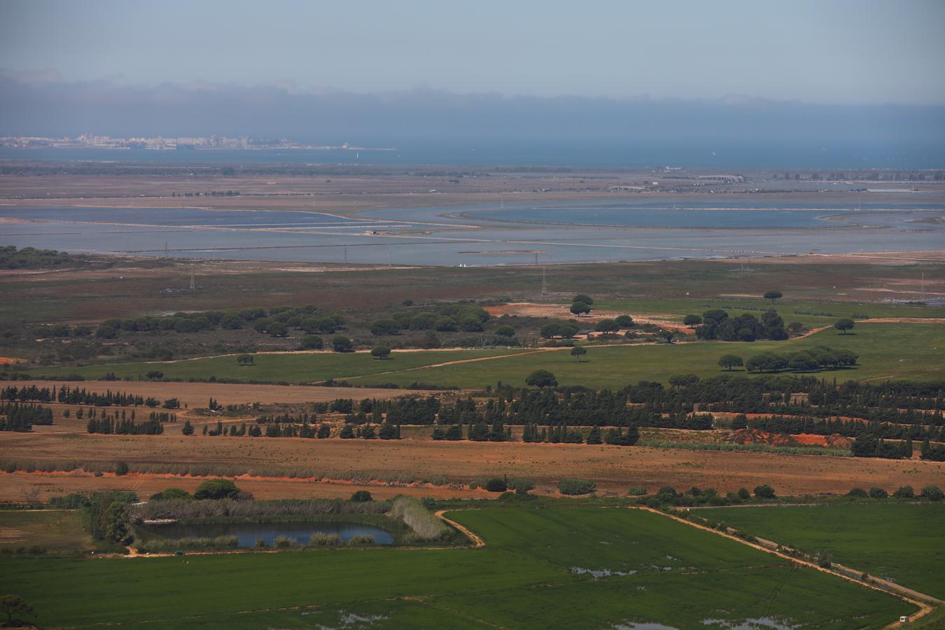 Fotos: Así vigila el helicóptero de la DGT las carreteras de Cádiz