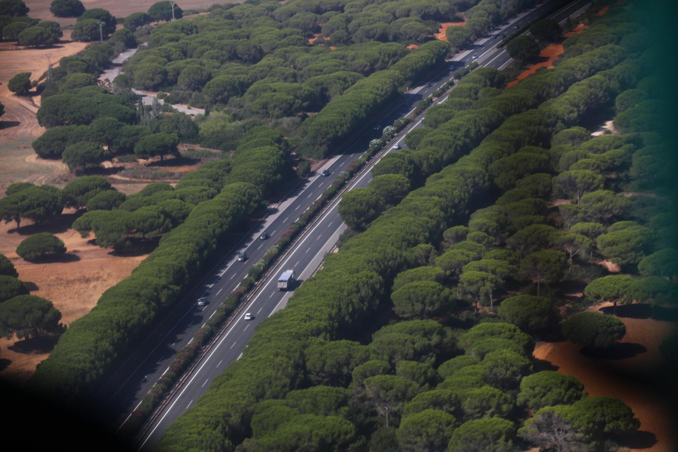 Fotos: Así vigila el helicóptero de la DGT las carreteras de Cádiz