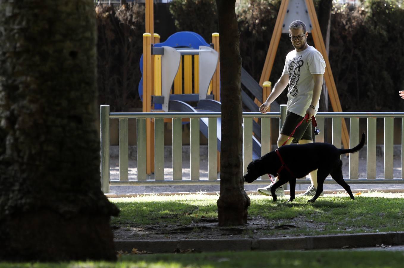 Las mascotas de Córdoba, en imágenes