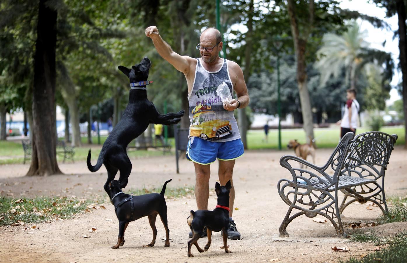 Las mascotas de Córdoba, en imágenes