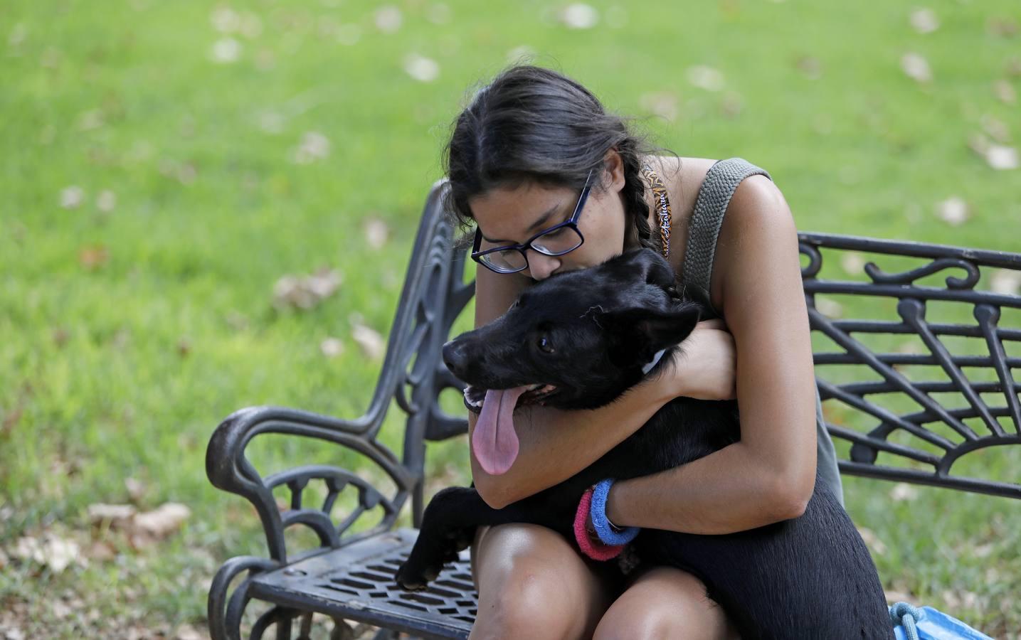 Las mascotas de Córdoba, en imágenes