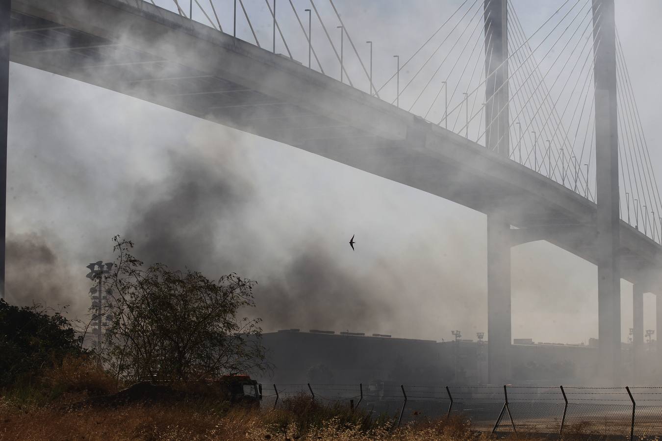 En imágenes, el incendio bajo el Puente del Centenario