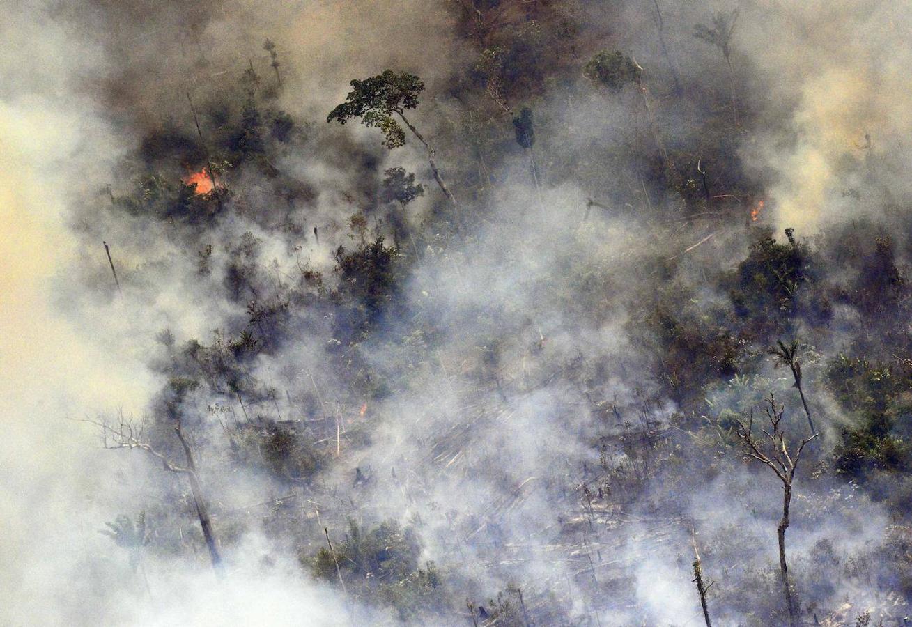 Las últimas cifras oficiales muestran que 76.720 incendios forestales se han registrado en Brasil en lo que va de año, el número más alto desde 2013. 