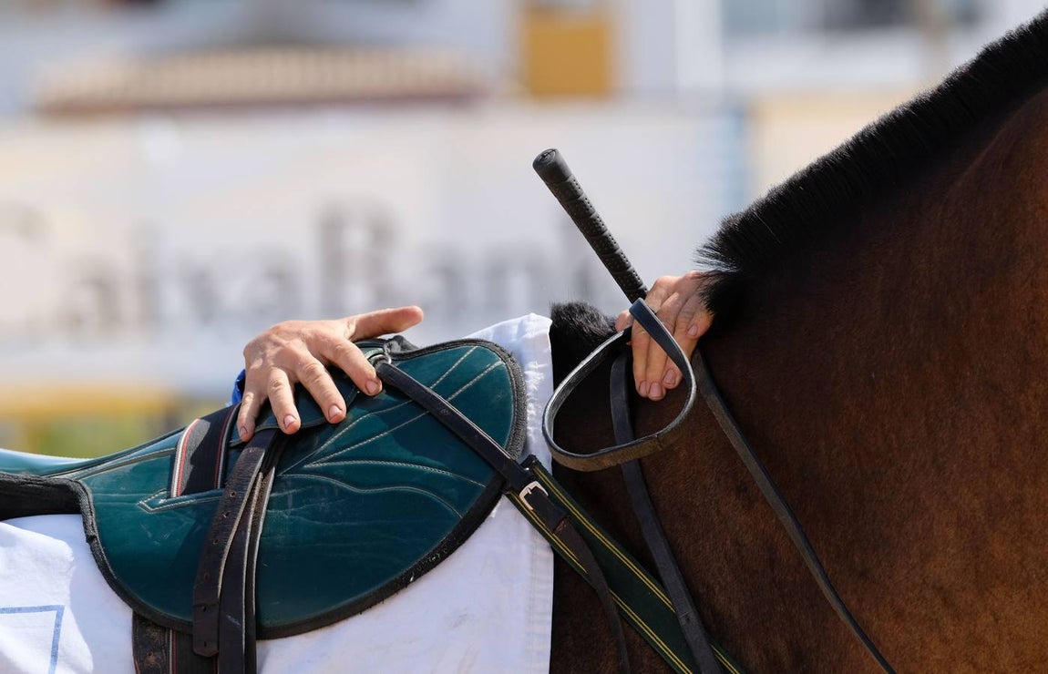 En imágenes, segundo ciclo de las Carreras de Caballos de Sanlúcar
