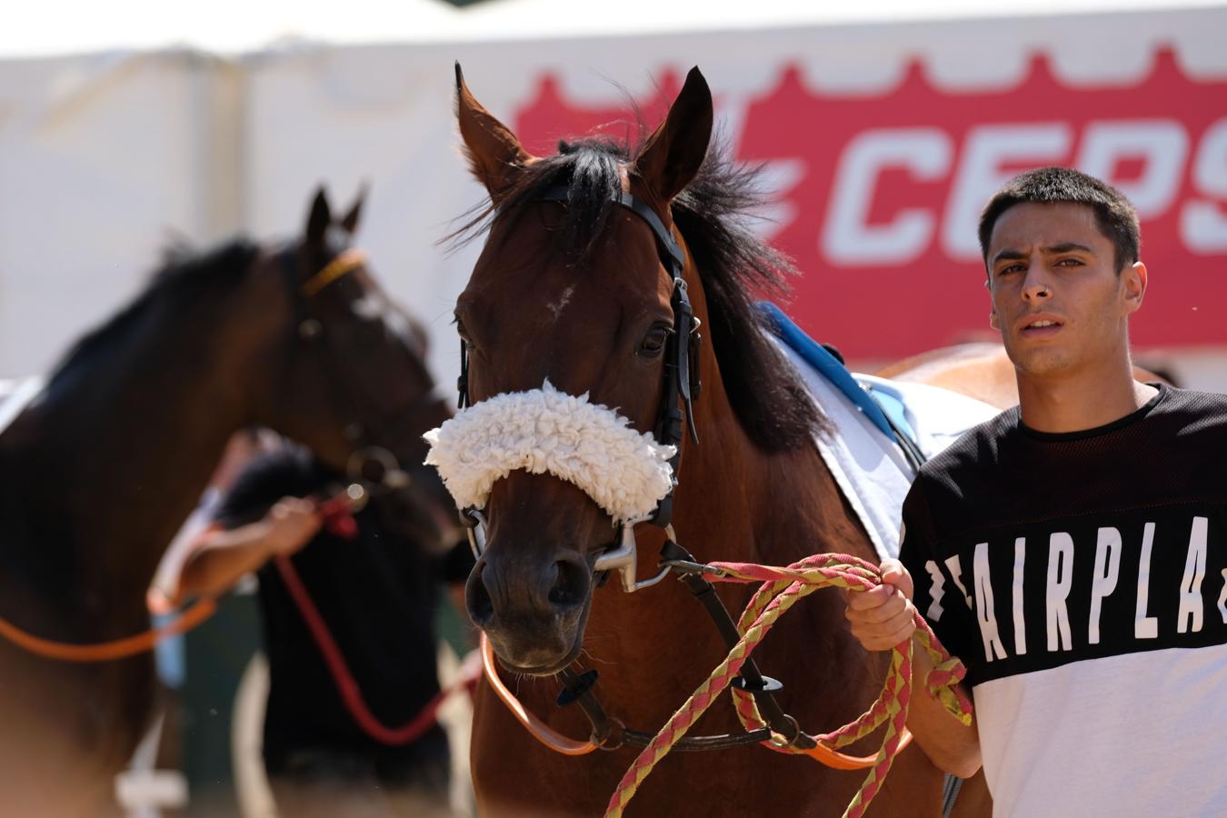 Fotos: Segundo ciclo de las carreras de caballos de Sanlúcar