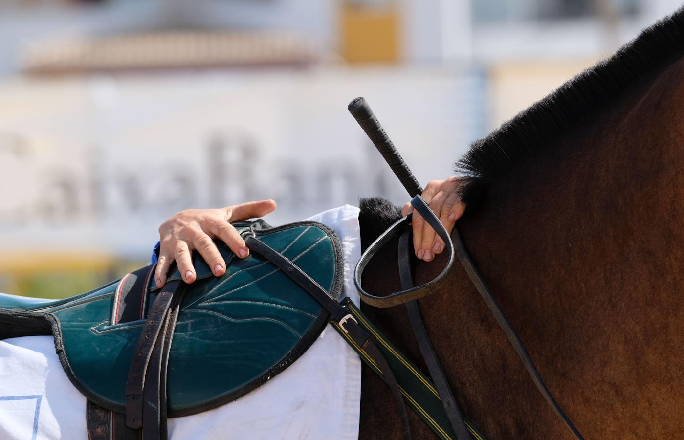 Fotos: Segundo ciclo de las carreras de caballos de Sanlúcar