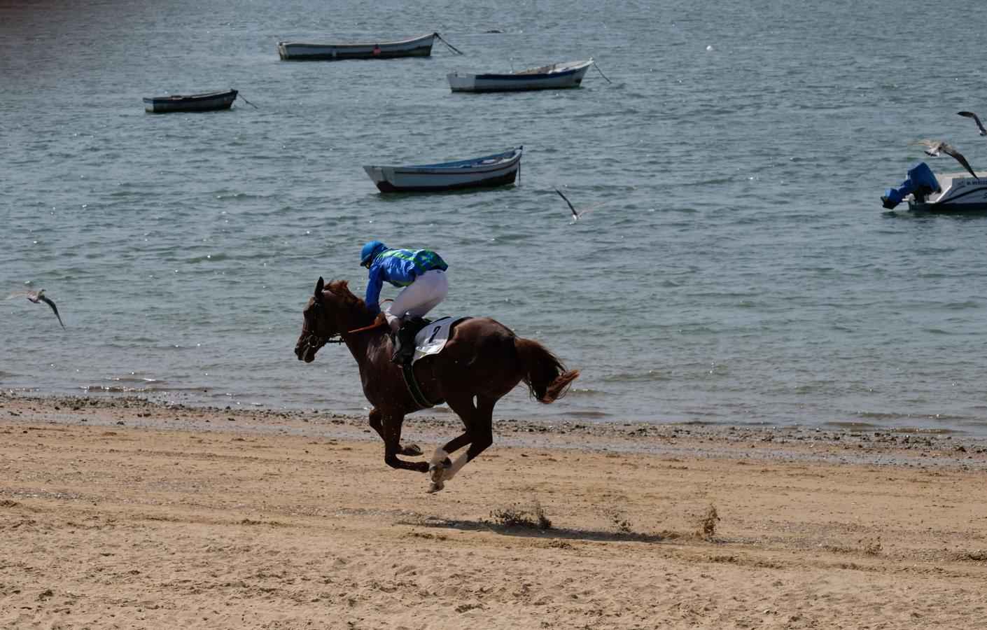 Fotos: Segundo ciclo de las carreras de caballos de Sanlúcar