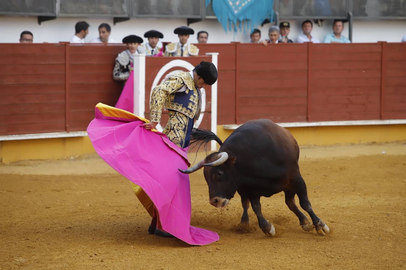 La corrida de toros en Priego de Córdoba, en imágenes