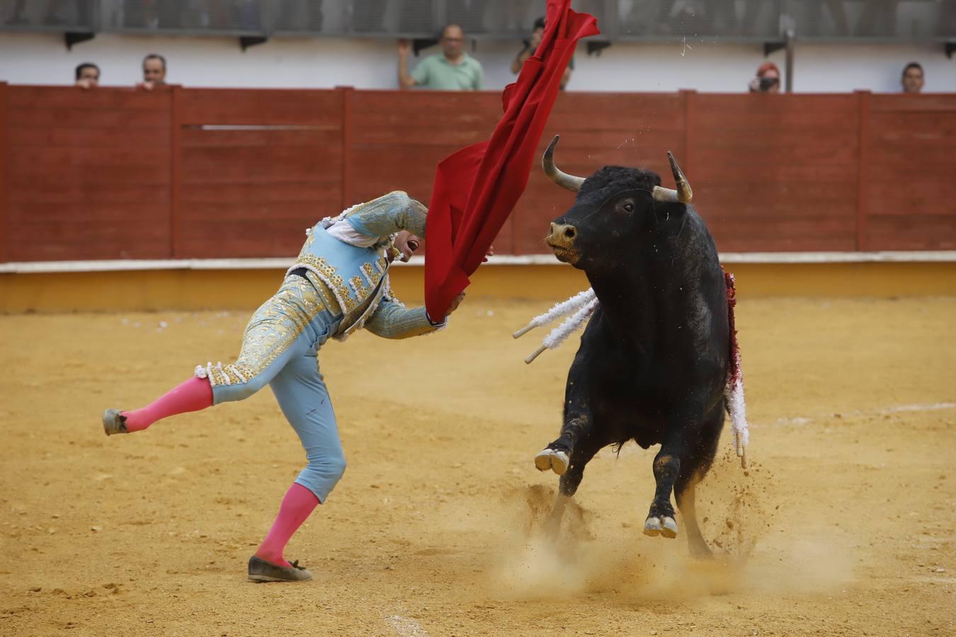 La corrida de toros en Priego de Córdoba, en imágenes