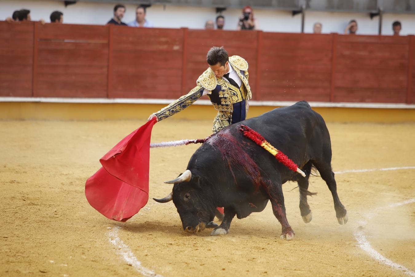 La corrida de toros en Priego de Córdoba, en imágenes