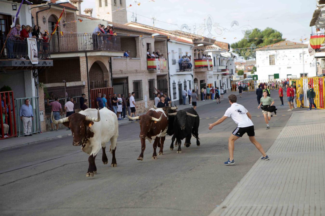 Comienzan los tradicionales encierros de Villaseca