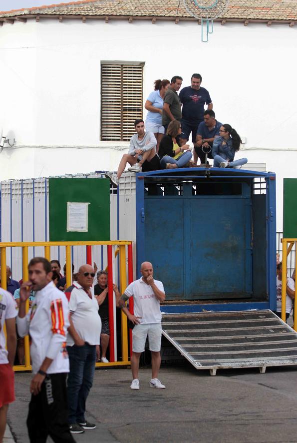 Comienzan los tradicionales encierros de Villaseca