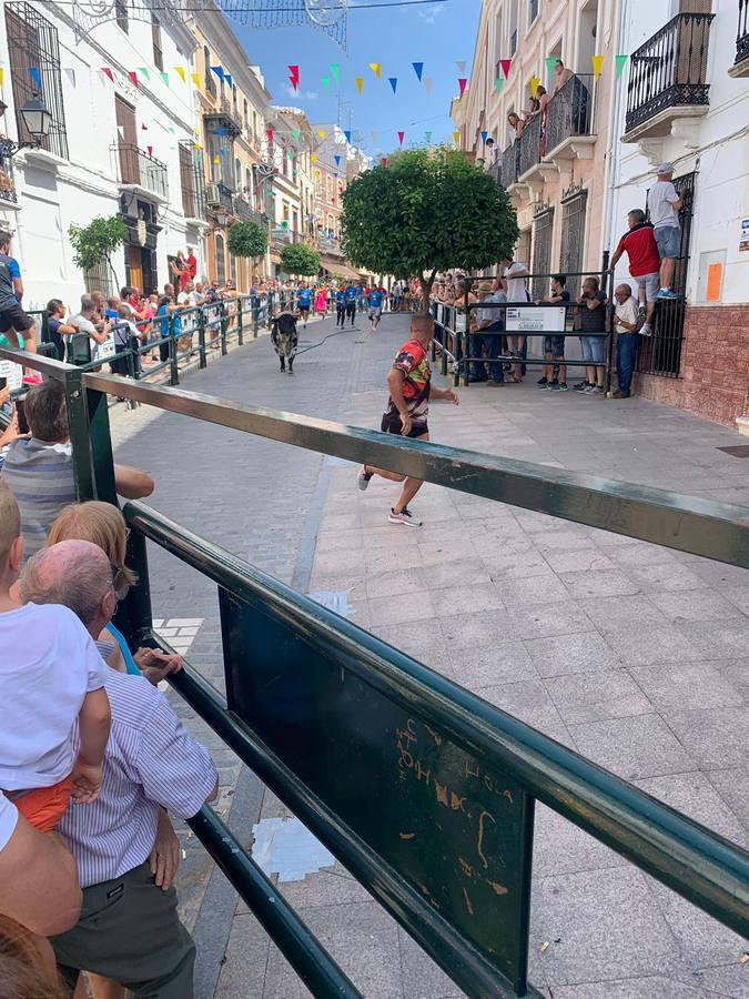 El toro de cuerda de Carcabuey, en imágenes