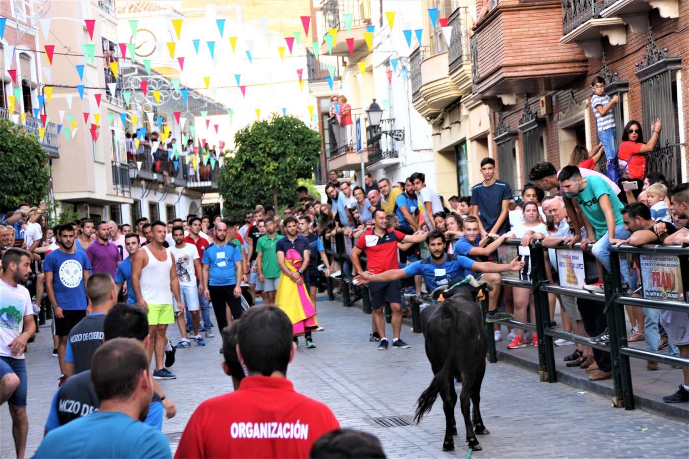 El toro de cuerda de Carcabuey, en imágenes