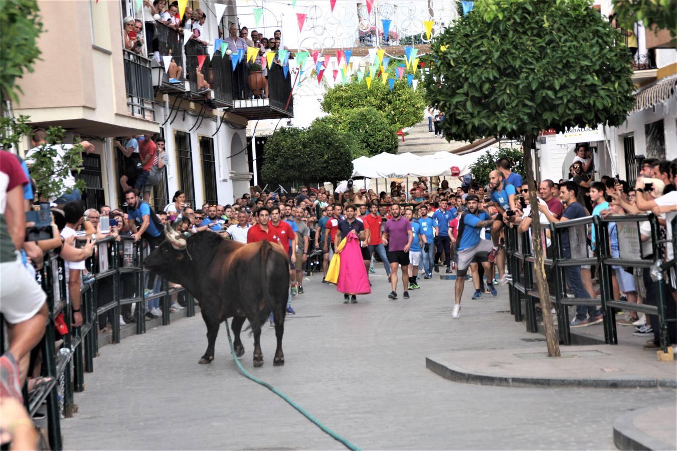 El toro de cuerda de Carcabuey, en imágenes