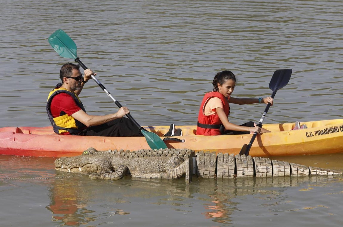 Piraguas y fruta gratis en la Velá de la Fuensanta de Córdoba