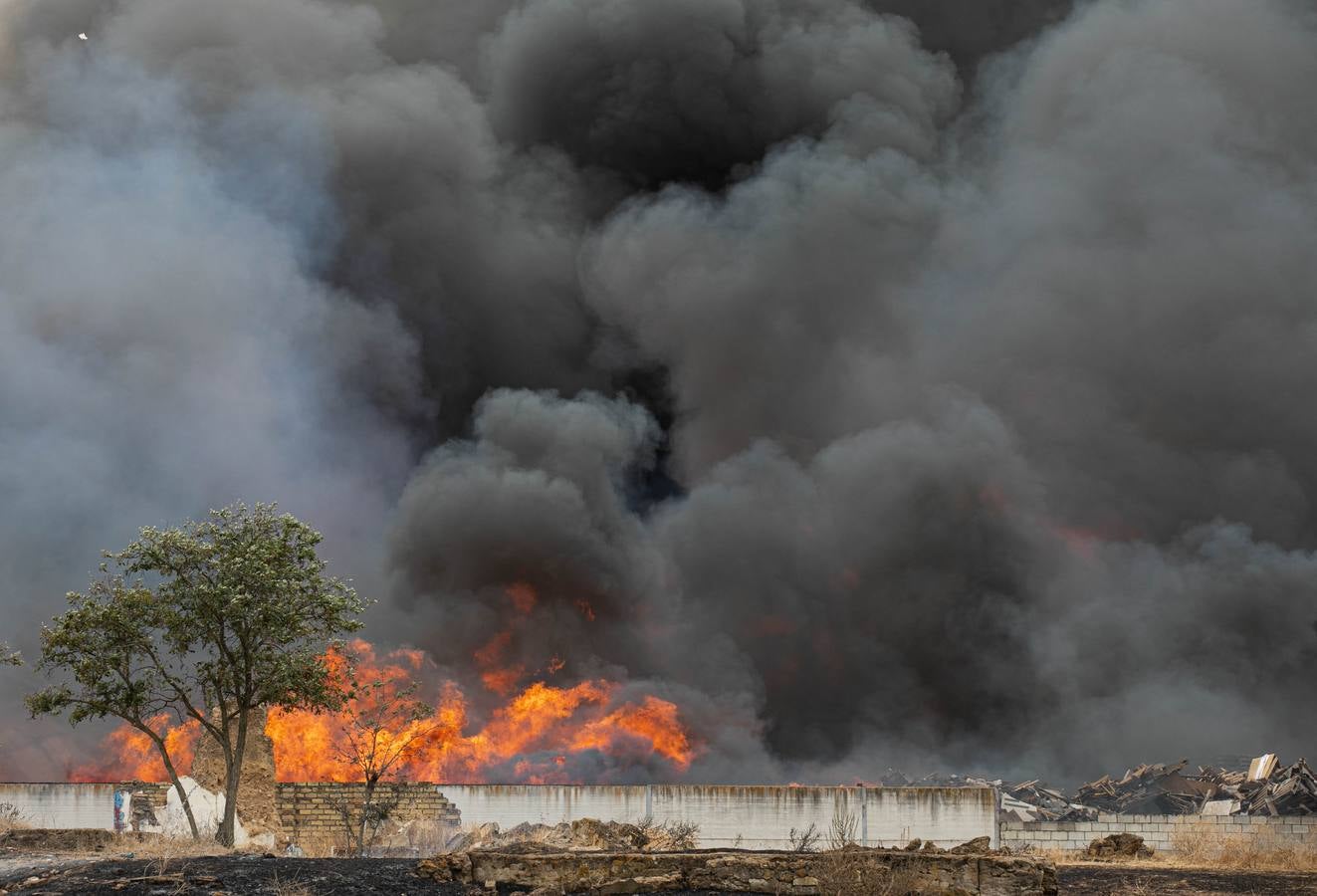 En imágenes, el incendio del patio de una nave industrial en Dos Hermanas