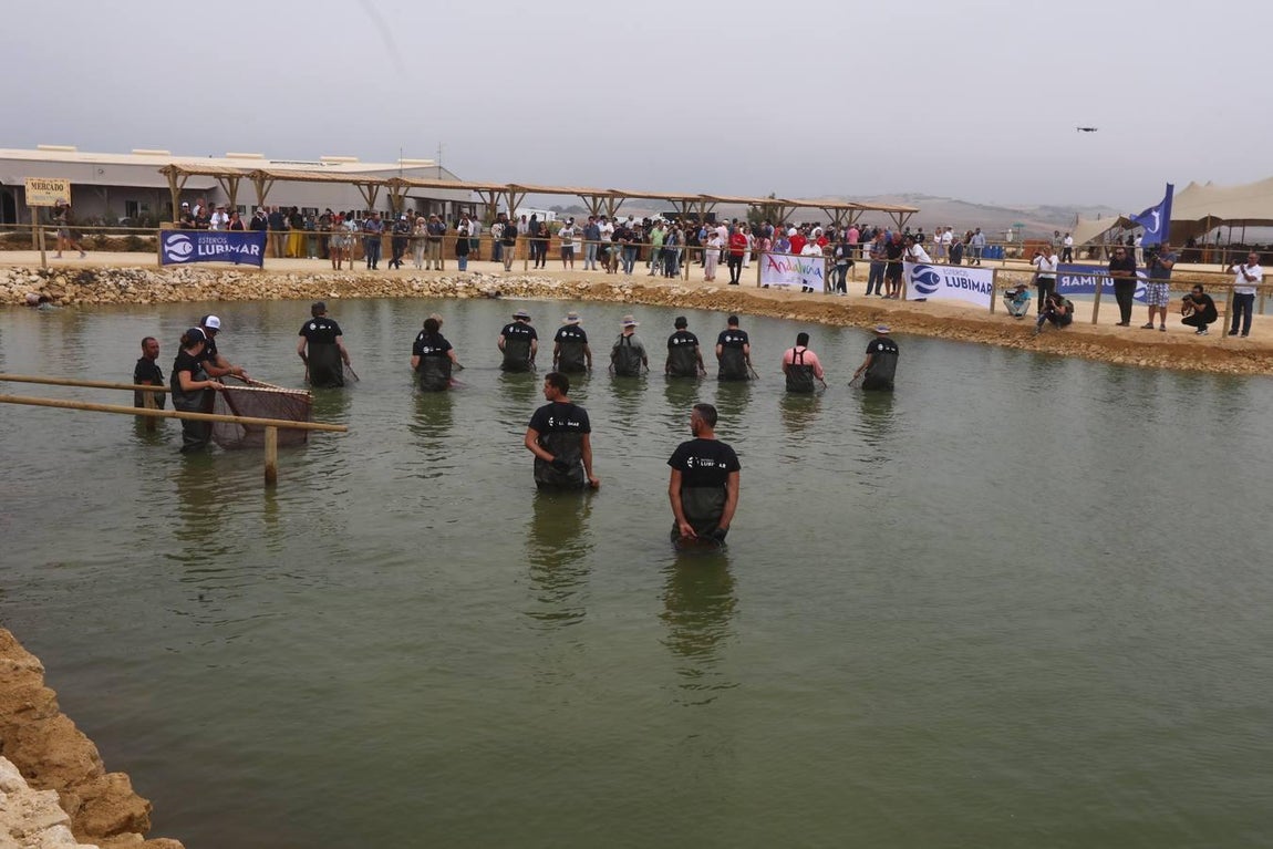 En fotos: el despesque de Ángel León