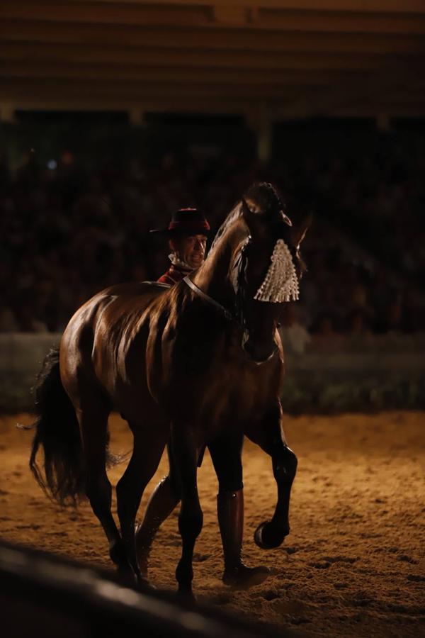 El espectáculo de Cabalcor, en imágenes