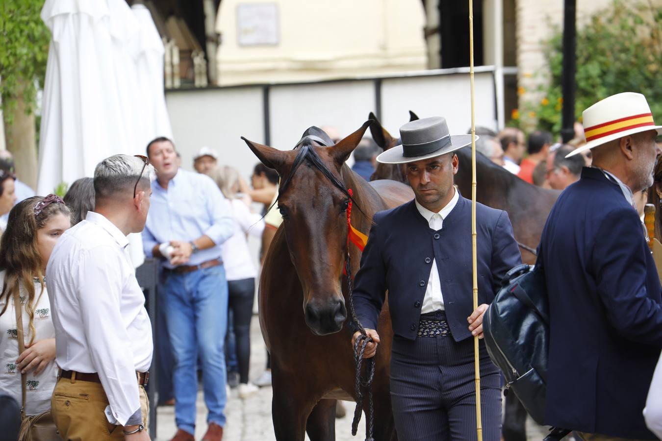 El ambiente del sábado en la Feria del Caballo «Cabalcor», en imágenes