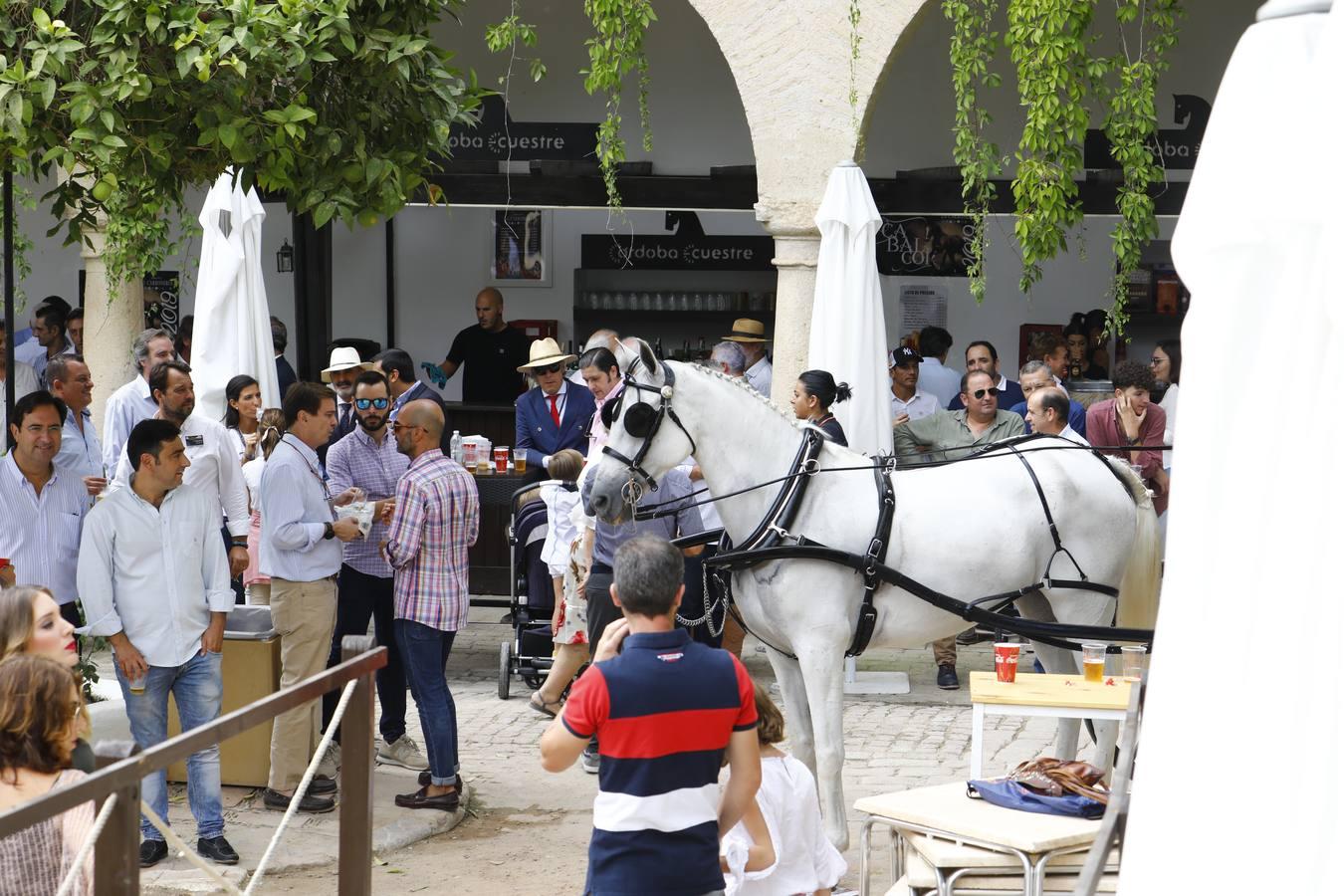 El ambiente del sábado en la Feria del Caballo «Cabalcor», en imágenes