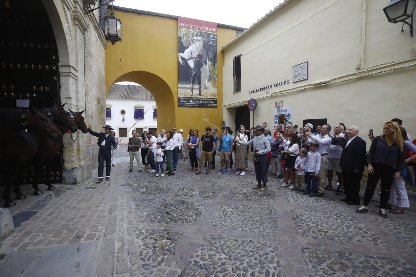 El ambiente del sábado en la Feria del Caballo «Cabalcor», en imágenes