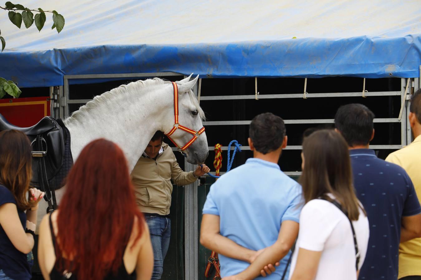 El ambiente del sábado en la Feria del Caballo «Cabalcor», en imágenes