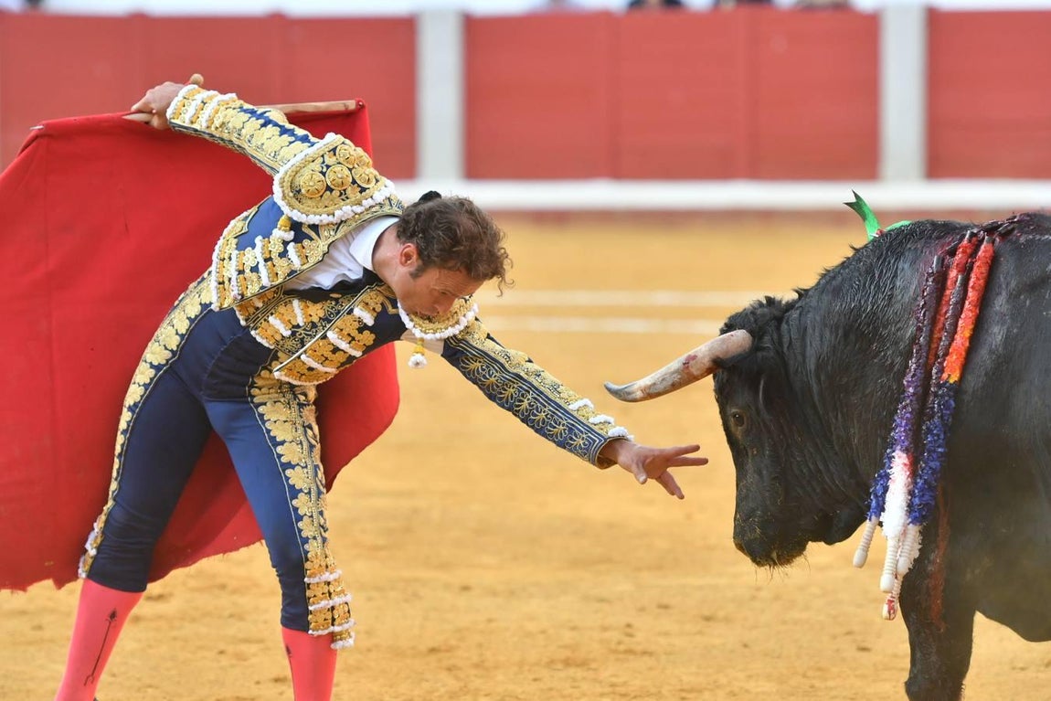 La Feria de las Mercedes de Pozoblanco, en imágenes