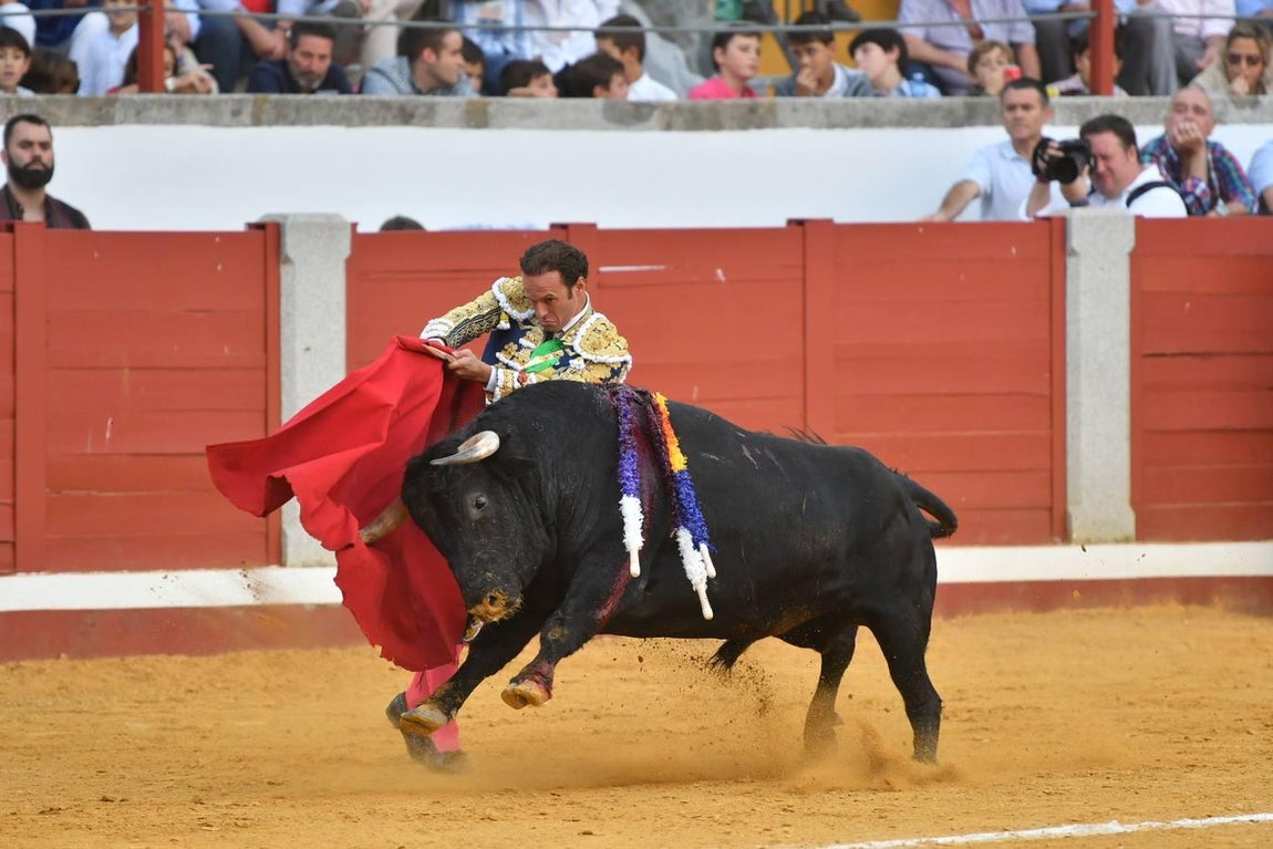La Feria de las Mercedes de Pozoblanco, en imágenes