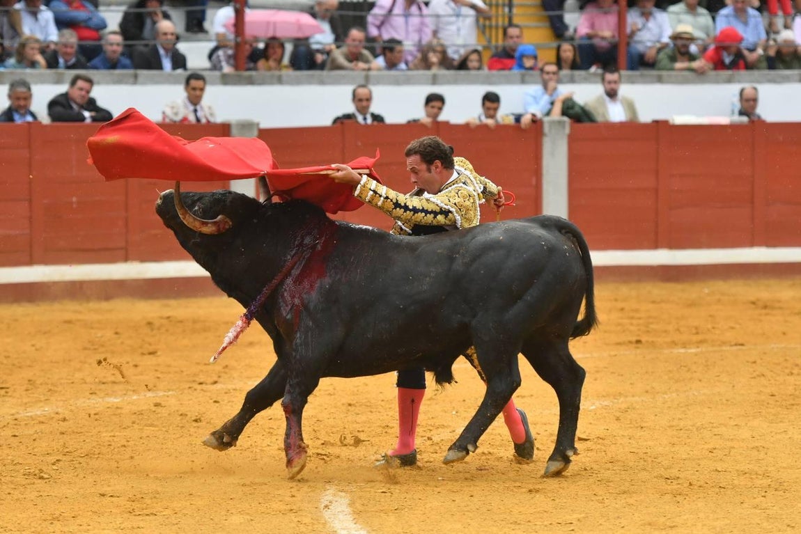 La Feria de las Mercedes de Pozoblanco, en imágenes