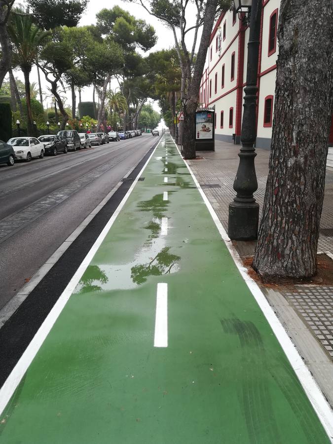 FOTOS: El carril bici de Cádiz, lleno de charcos