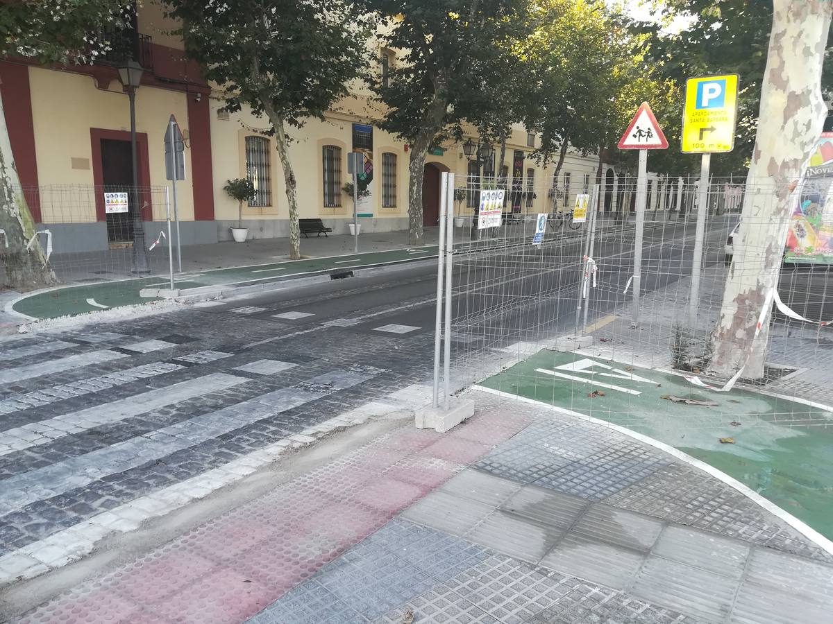 FOTOS: El carril bici de Cádiz, lleno de charcos