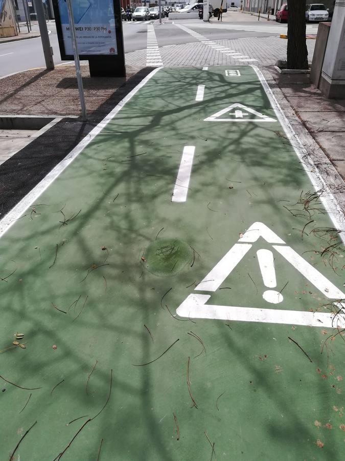 FOTOS: El carril bici de Cádiz, lleno de charcos