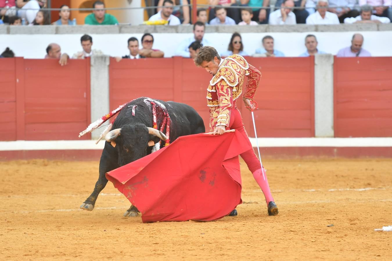 La corrida de toros de Pozoblanco, en imágenes