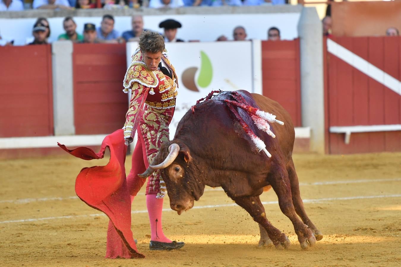 La corrida de toros de Pozoblanco, en imágenes