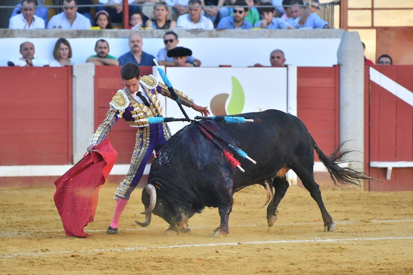 La corrida de toros de Pozoblanco, en imágenes