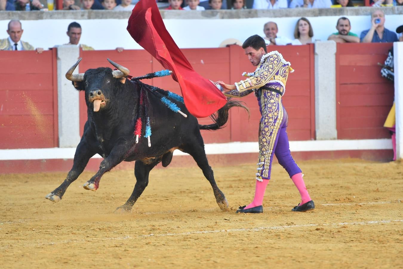 La corrida de toros de Pozoblanco, en imágenes