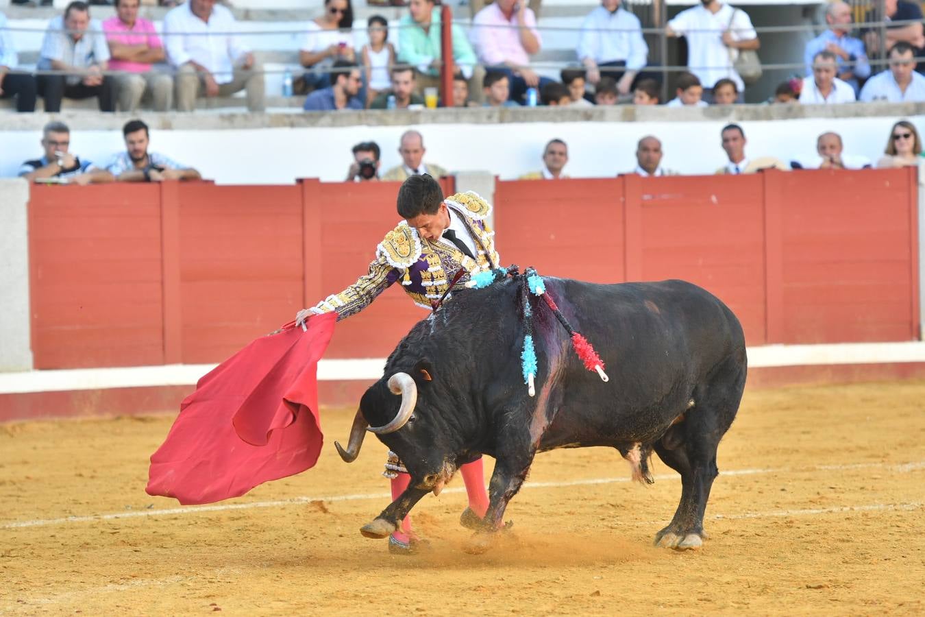 La corrida de toros de Pozoblanco, en imágenes