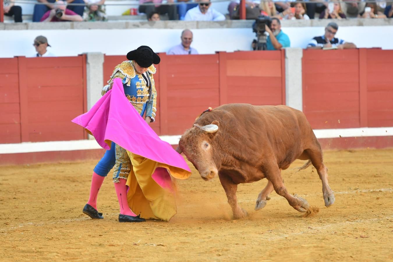 La corrida de toros de Pozoblanco, en imágenes