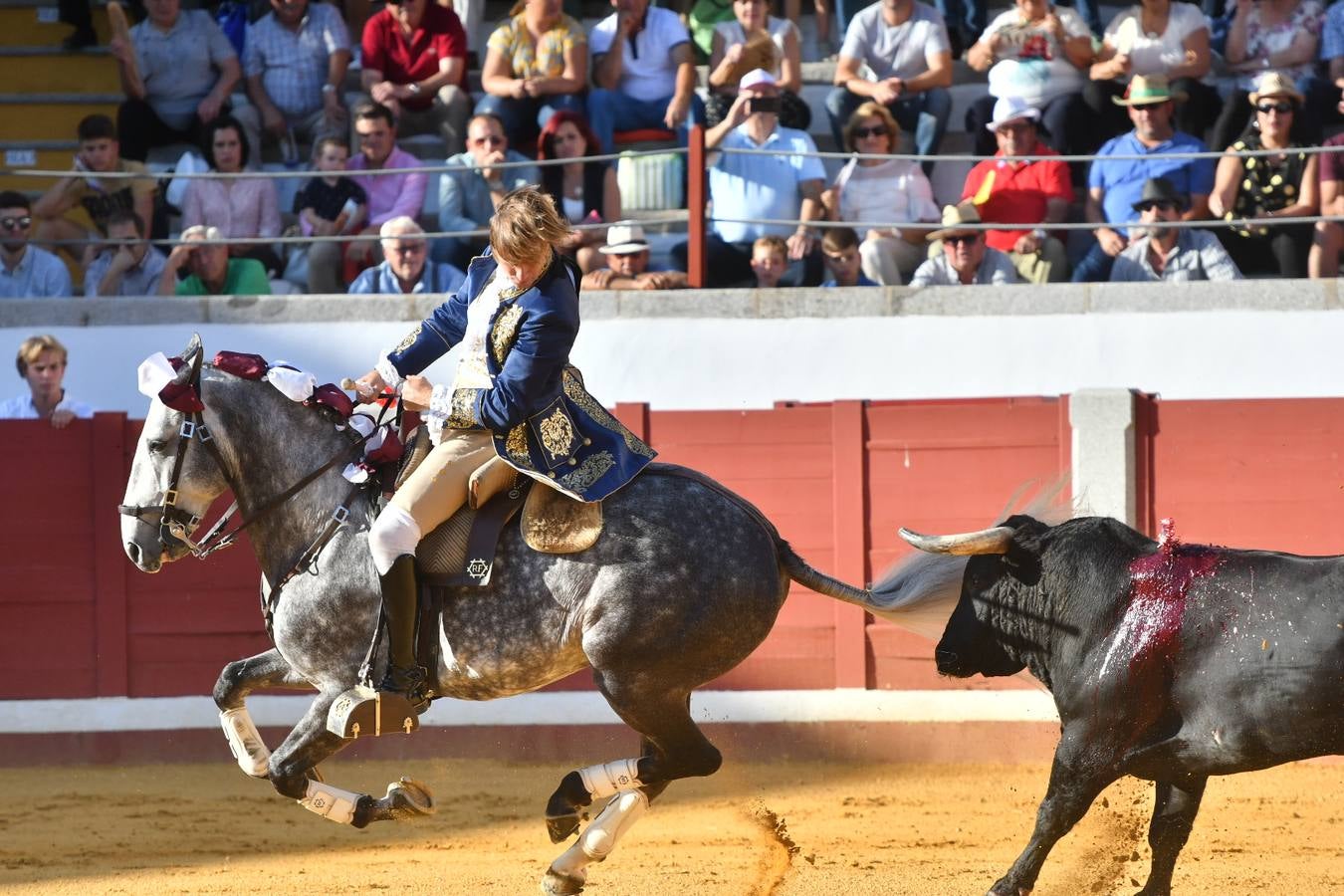 El último festejo de la feria de Pozoblanco, en imágenes