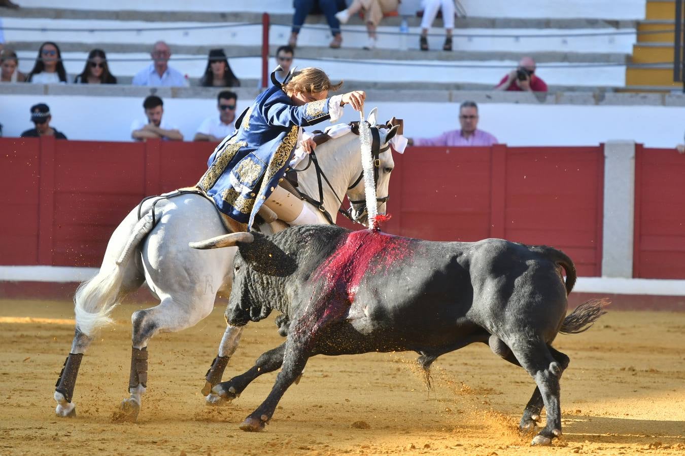 El último festejo de la feria de Pozoblanco, en imágenes